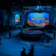 The Wonderful World of Disney Presents The Little Mermaid Live!